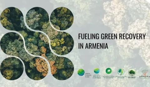 500 հեկտար նոր անտառ մինչև 2030 թվականը. Համաձայնագիր է ստորագրվել