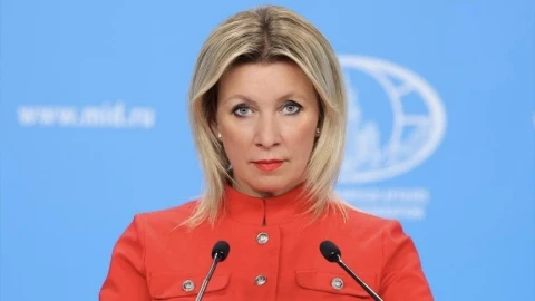 Захарова: выборы в Армении прошли в обстановке давления на оппозицию