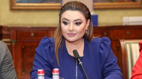 Ի վերջո, ի՞նչն է պետք հերքել, «ստոյկա տալու» վերաբերյալ արտահայտությո՞ւնը. Տոնոյանը՝ Փաշինյանի մասին
