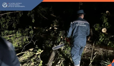 Փրկարարներն արձագանքել են քամու վերաբերյալ ստացված բոլոր ահազանգերին