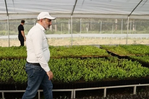 Newspaper: Armenia authorities once again abandon farmers on brink of economic chaos