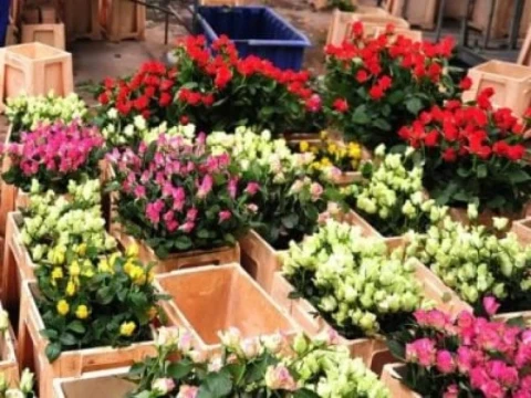 Central Bank: Problems in individual export markets may lead to decrease in income in Armenia economy