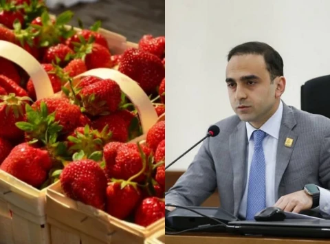 «Հրապարակ». «Հրապարակ»․ Ելակն արտահանում են թուրքականի անվան տակ
