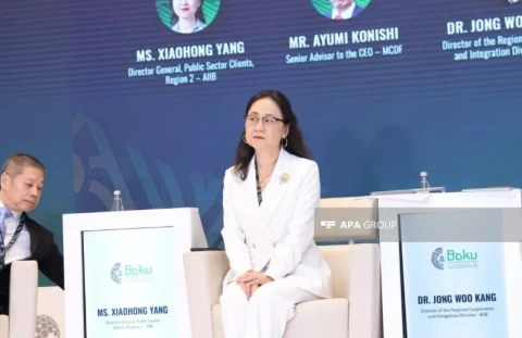 Asian Infrastructure Investment Bank director general: Middle Corridor development will require about $28 bln
