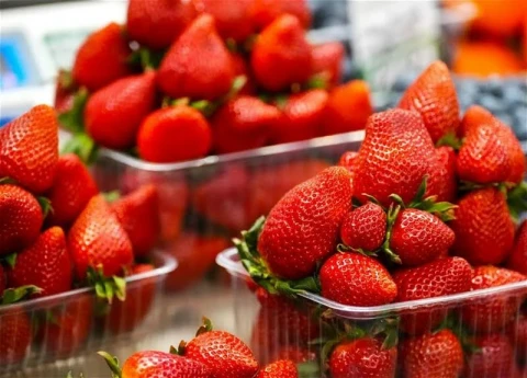 Грузия опровергла транзит армянской сельхозпродукции в Россию