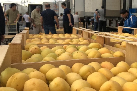 «Հայաստանի ագրարային ոլորտի համար սա շատ լուրջ մարտահրավեր է». փորձագետը՝ Ռոսսելխոզնադզորի սահմանափակումների մասին