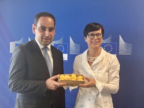Марта Кос: Первая символическая партия армянских абрикосов прибыла в Европейский Союз