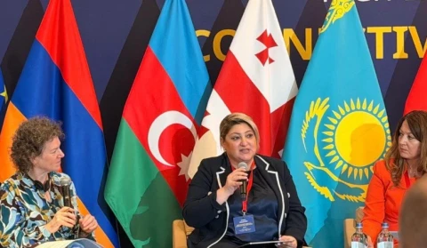 Замминистра: Мы хотим, чтобы Армения стала надежным узлом, соединяющим Европу, Кавказ, Центральную Азию и Ближний Восток