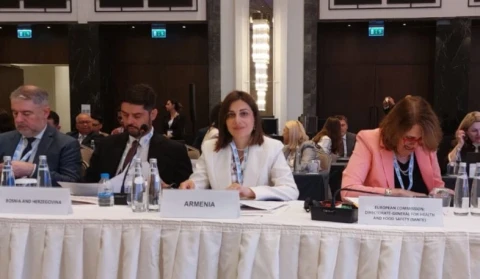 Ավանեսյանը Ստամբուլում մասնակցում է առողջապահական համակարգերի պատրաստվածությանը նվիրված համաժողովին