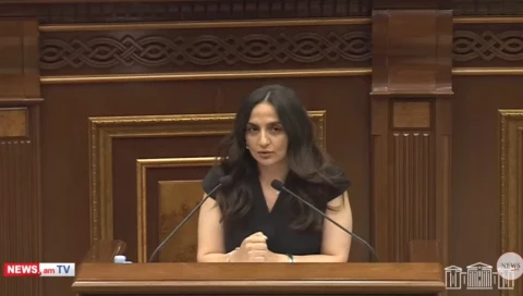 Законопроект о лишении права голоса проживающих преимущественно за рубежом граждан Армении в парламенте: подробности
