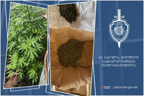 В Армении полицейские обнаружили во дворе 59-летнего мужчины 107 кустов конопли