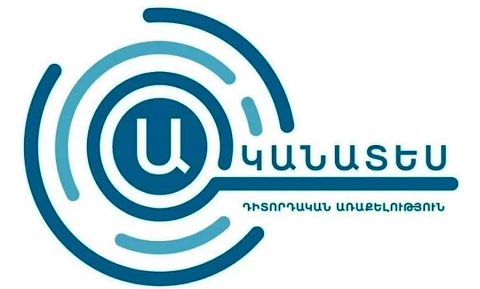 Կեցության ցենզով ընտրության իրավունքի սահմանափակումը չի բխում Սահմանադրության կարգավորումներից. «Ականատես»