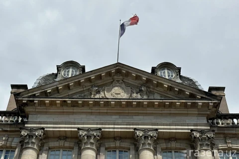 Петиция против законопроекта о применении оружия полицией во Франции собрала 100 тысяч подписей