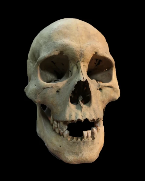 Scientists’ new discovery: plague was affecting people in Siberia as early as 5,500 years ago — 200 years earlier than previously thought