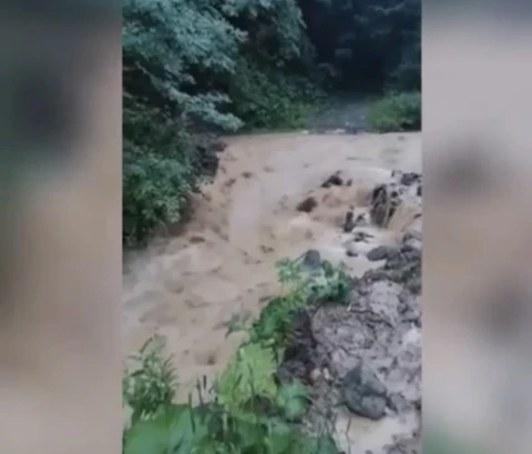«Веолия Джур»: Водоснабжение Дилижана прекращено в целях обеспечения безопасности граждан
