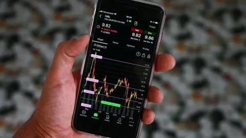 European stock markets mostly declined, while DAX and FTSE MIB hit record highs