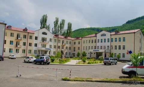 Armenia’s Goris Medical Center director: One of victims of wolf attacks in serious, other 5 in light, moderate condition