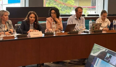 Ջրային կոմիտեի պատվիրակությունը մասնակցել է «ԵՄ-ն՝ հանուն կանաչ վերականգնման» համաժողովին