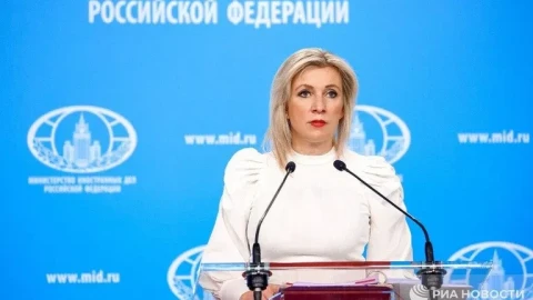 Захарова прокомментировала назначение Ованнисяна после его слов о Гитлере