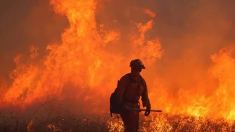 Andalusia declares three days of mourning after 12 people die in forest fire