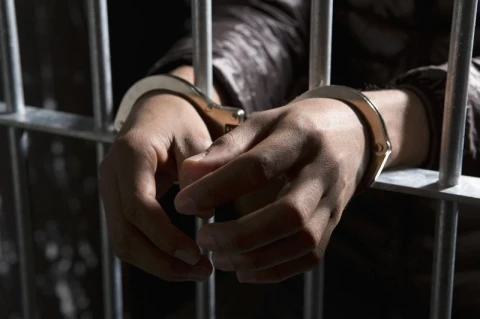 В Грузии задержан депутат муниципального собрания по делу о связях с «воровским миром»