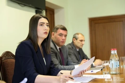 Minister of Internal Affairs Demands Increased Domestic Violence Prevention Work in Regional Departments in Armenia