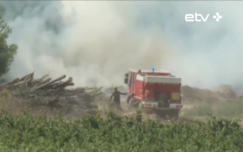 In France, a suspect was detained in connection with an attempted forest arson near Paris