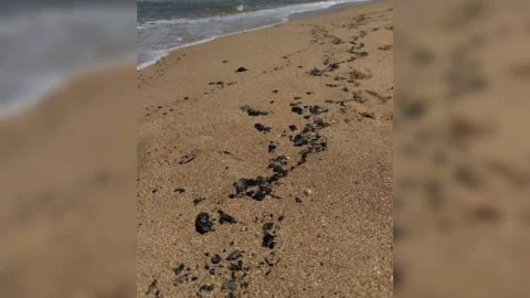 На Кубани ввели локальный режим ЧС из-за новых мазутных выбросов