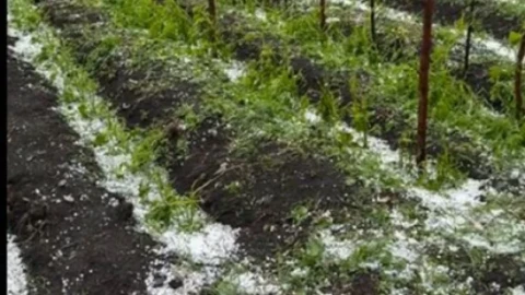 В Армении молодой пастух получил серьезные травмы в результате сильного града