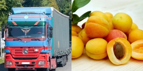 Media: Entire shipment of Armenian apricots exported to Spain spoiled