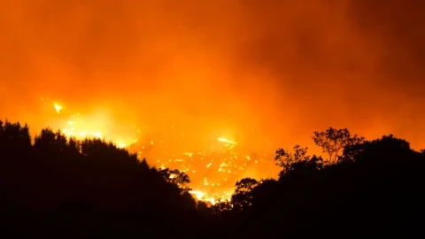 Spain's largest wildfire rages for the fifth consecutive day