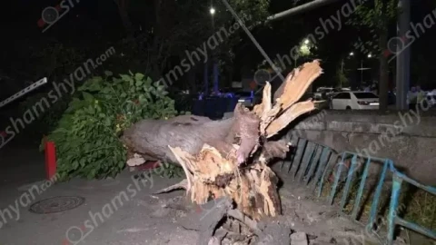 Огромное высохшее дерево рухнуло во дворе на улице Закяна