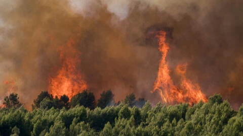 Wildfires in Spain and France, hail in the Balkans: abnormal weather persists across Europe