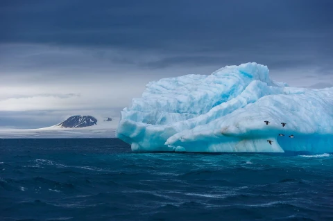 Study: Arctic ice is melting at a record pace