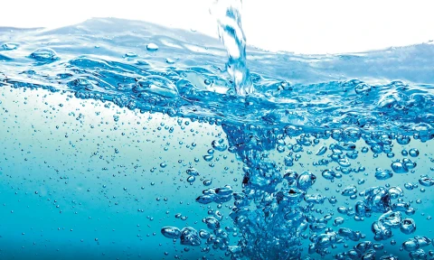 Artificial intelligence deciphered the unusual properties of water