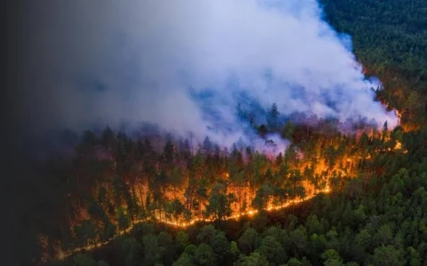 France requested EU assistance in combating large-scale wildfires