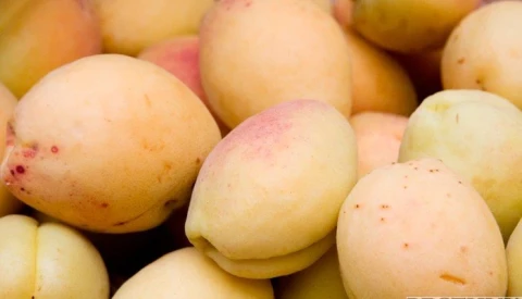 Экономист: Вопрос ввоза армянкой сельскохозяйственной продукции в Россию имеет не только политическую подоплеку