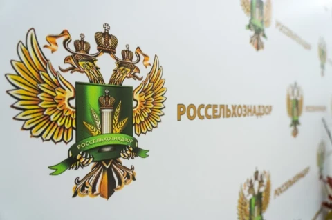 Россия заявила о попытке ввоза армянских цветов по поддельным документам