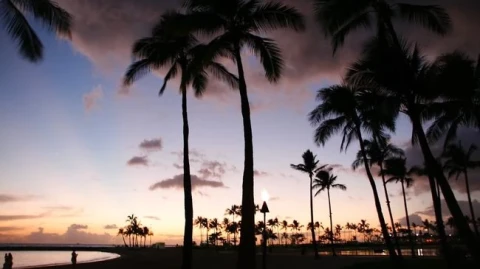 A $830-a-night vacation ended in intensive care: In Hawaii, locals are accused of a racist attack on white Californians
