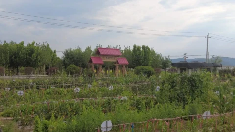 Shuqiu village: Example of modern transformation of Chinese rural community (PHOTOS)