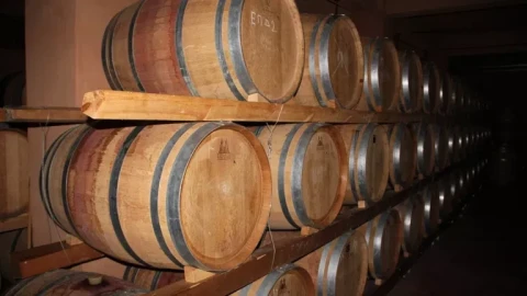 Ֆրանսիայի հարավ-արևմուտքում բռնկված հրդեհների ծուխը կարող է ազդել Բորդոյի գինիների համի վրա․ Parisien
