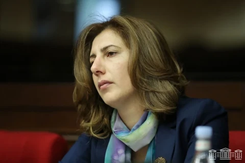 Суд принял к производству иск Софии Овсепян против Пашиняна