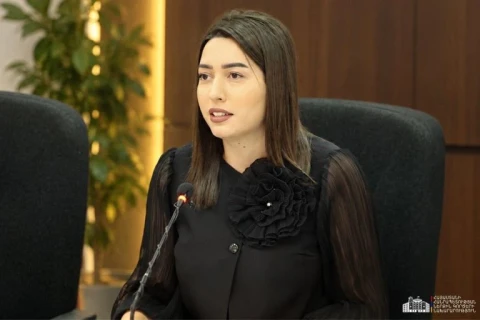 Վիզաների ազատականացումը ոչ միայն ազատ տեղաշարժի հնարավորություն է, այլև պետական ինստիտուտների որակական վերափոխման կարևոր գործիք․ Արփինե Սարգսյան