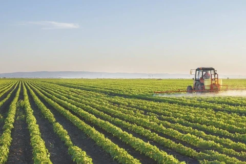 Ranking of world's largest agricultural economies announced