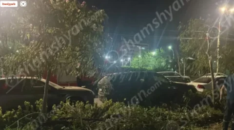 На улице Алека Манукяна в Ереване высохшее дерево рухнуло на автомобиль «Mazda»