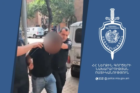 В Армении полицейские  обнаружили молодого человека, ударившего ножом собаку: он задержан