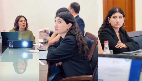 Հայտնի է՝ ինչ կարգավիճակով է Փաշինյանի դուստրը մասնակցել Սրբուհի Գալյանի մոտ անցկացված քննարկմանը