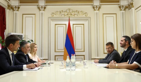 Армения и Аргентина обсудили вопрос расширения экономических связей