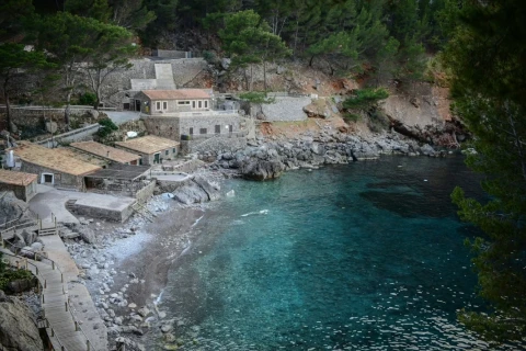 Spain’s Mallorca “drowning” in “selfie tourism”: Vacationing foreigners cause traffic chaos at resort