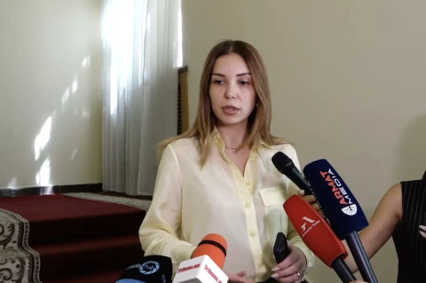 Руководитель фракции блока «Армения» обвинила руководство парламента в давлении на оппозицию
